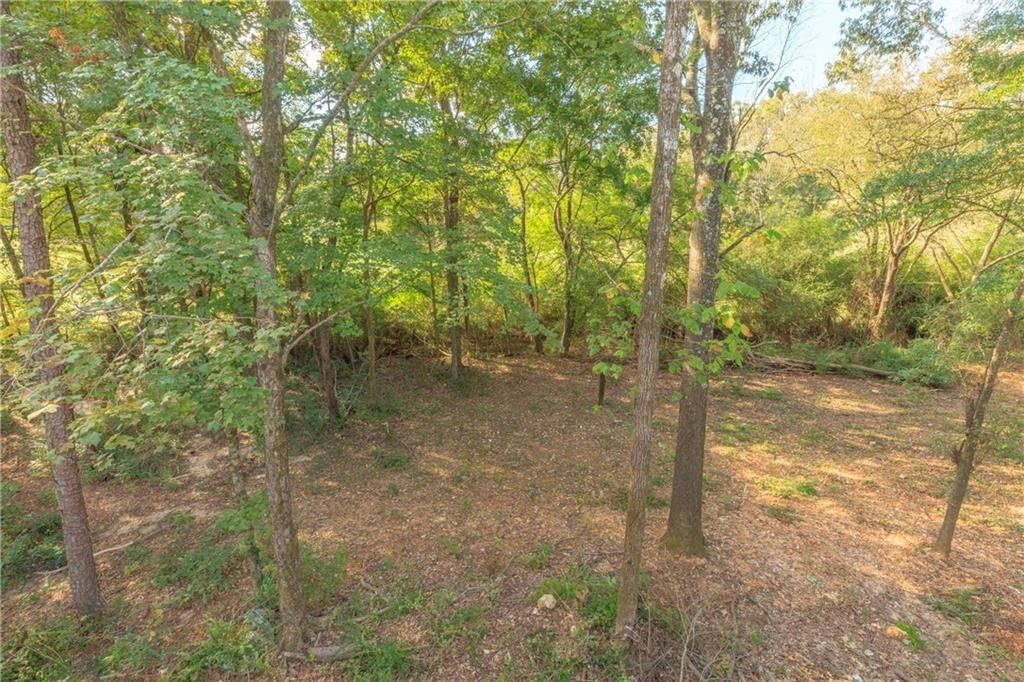 55 Reece Street. Menlo, GA 30731