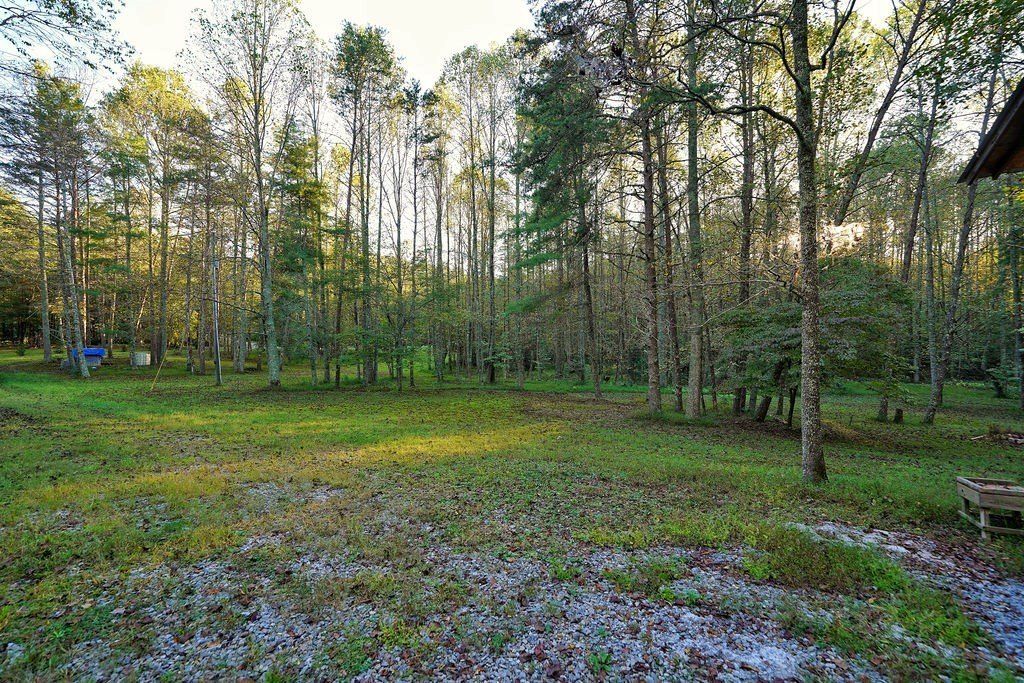 1841 Old Bucktown Road. Ellijay, GA 30536