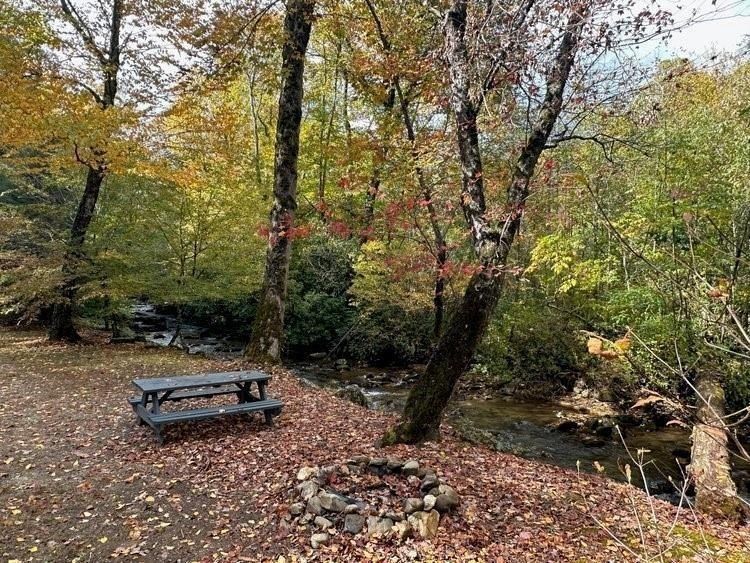 130 Cove View Lane. Clarkesville, GA 30523