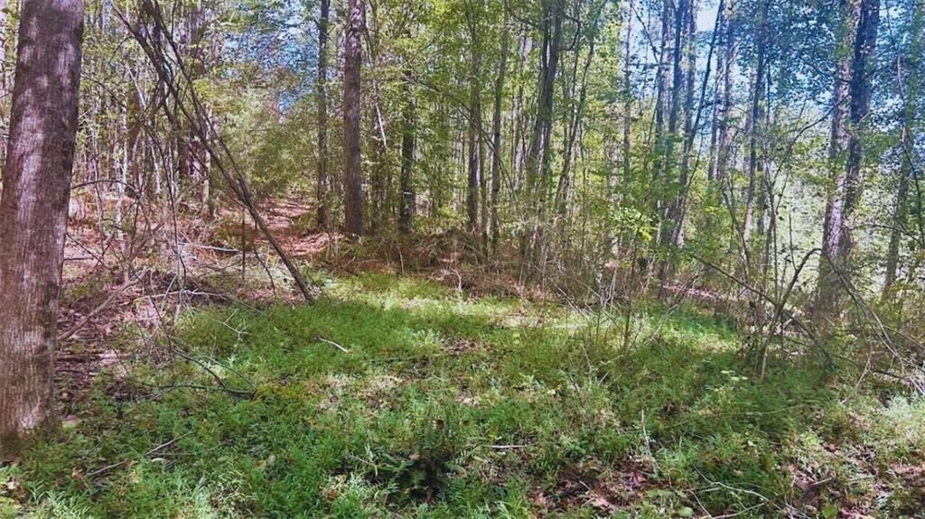 0 Williamson Road. Tallapoosa, GA 30176