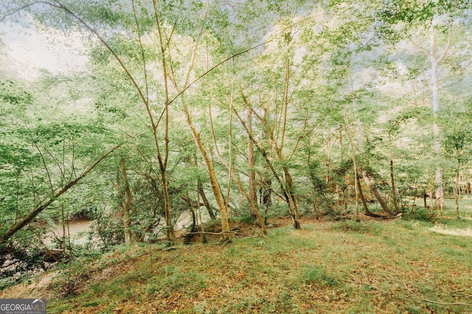 329 Twisting Ridge Trail. Demorest, GA 30535