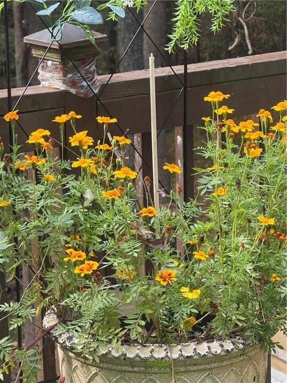 3700 Hudson Court. Rex, GA 30273