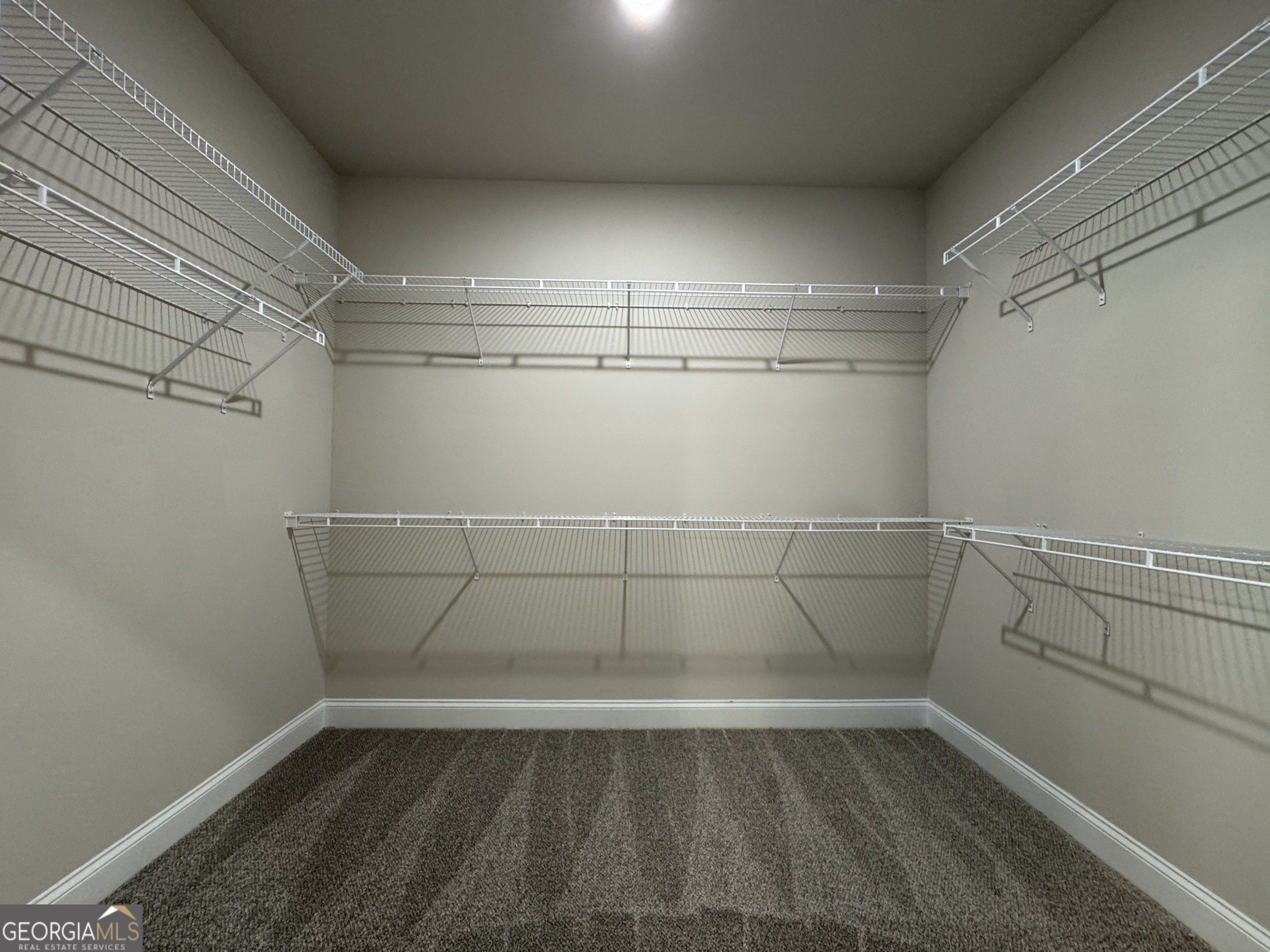 157 Country World Drive. Macon, GA 31211