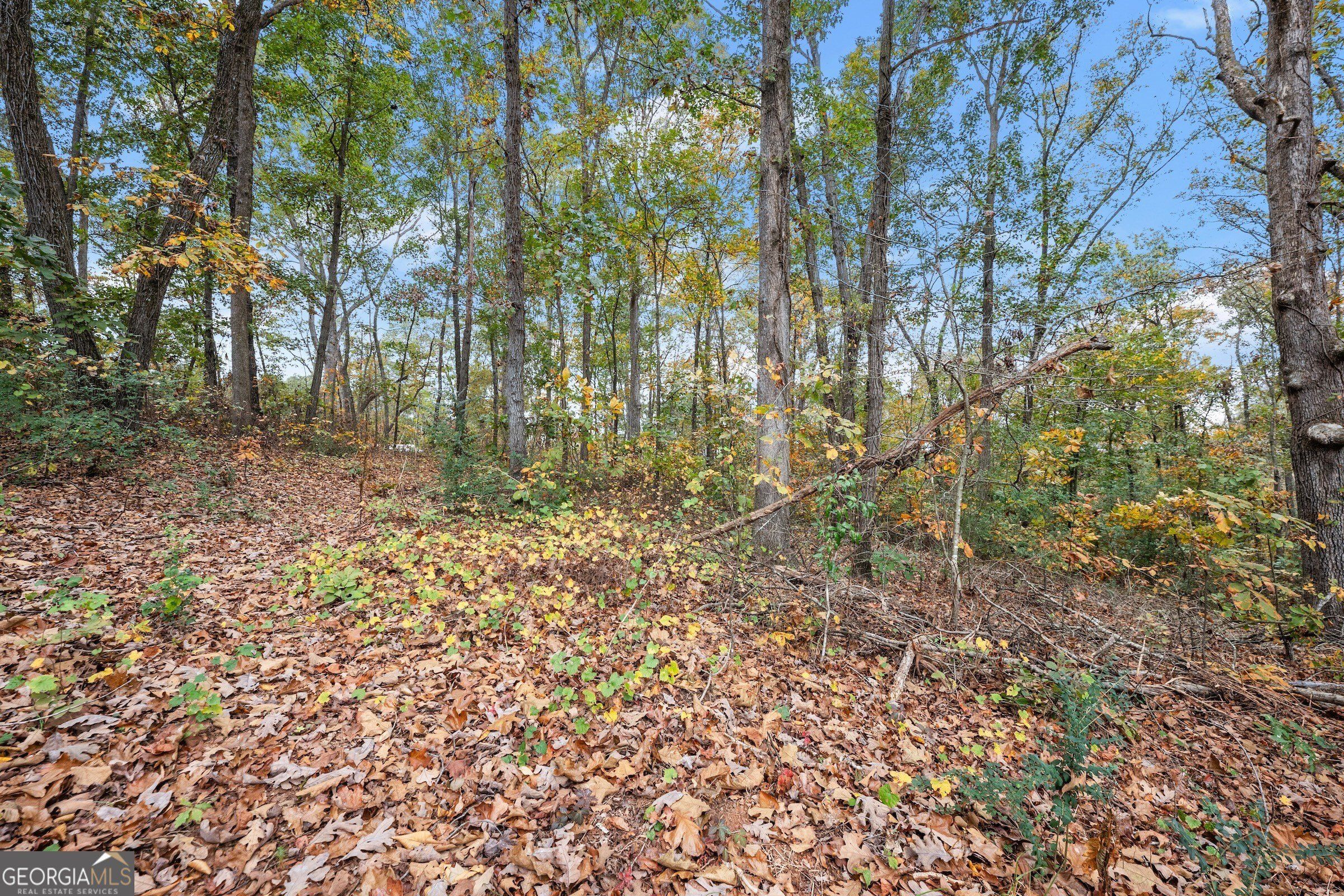 9 Dons Court. Royston, GA 30662