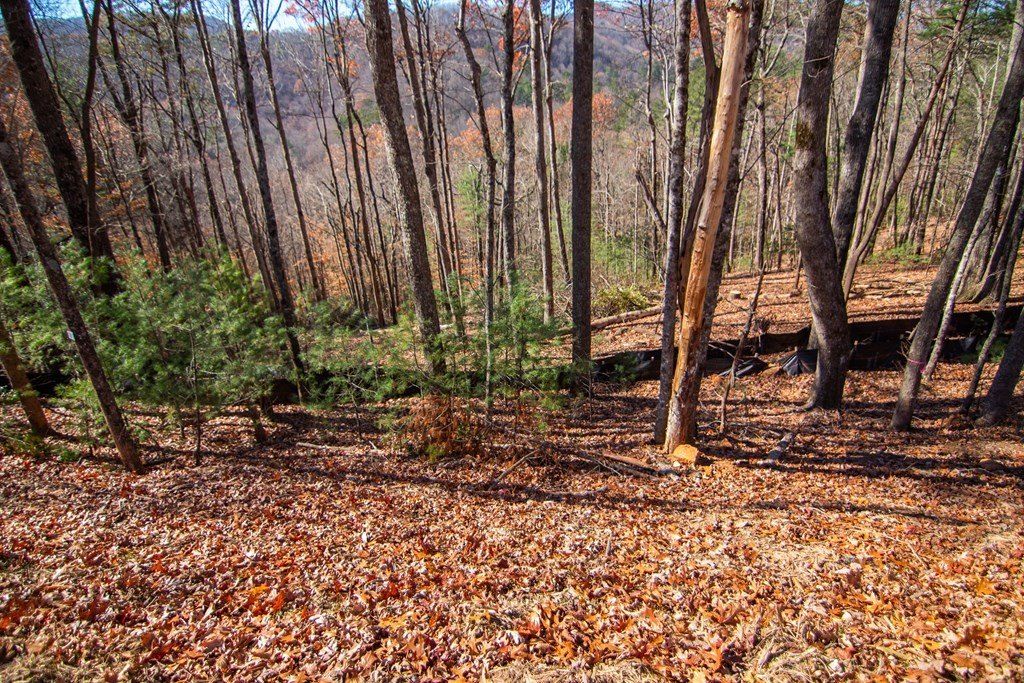 Lot 5 Clays Way. Blue Ridge, GA 30513