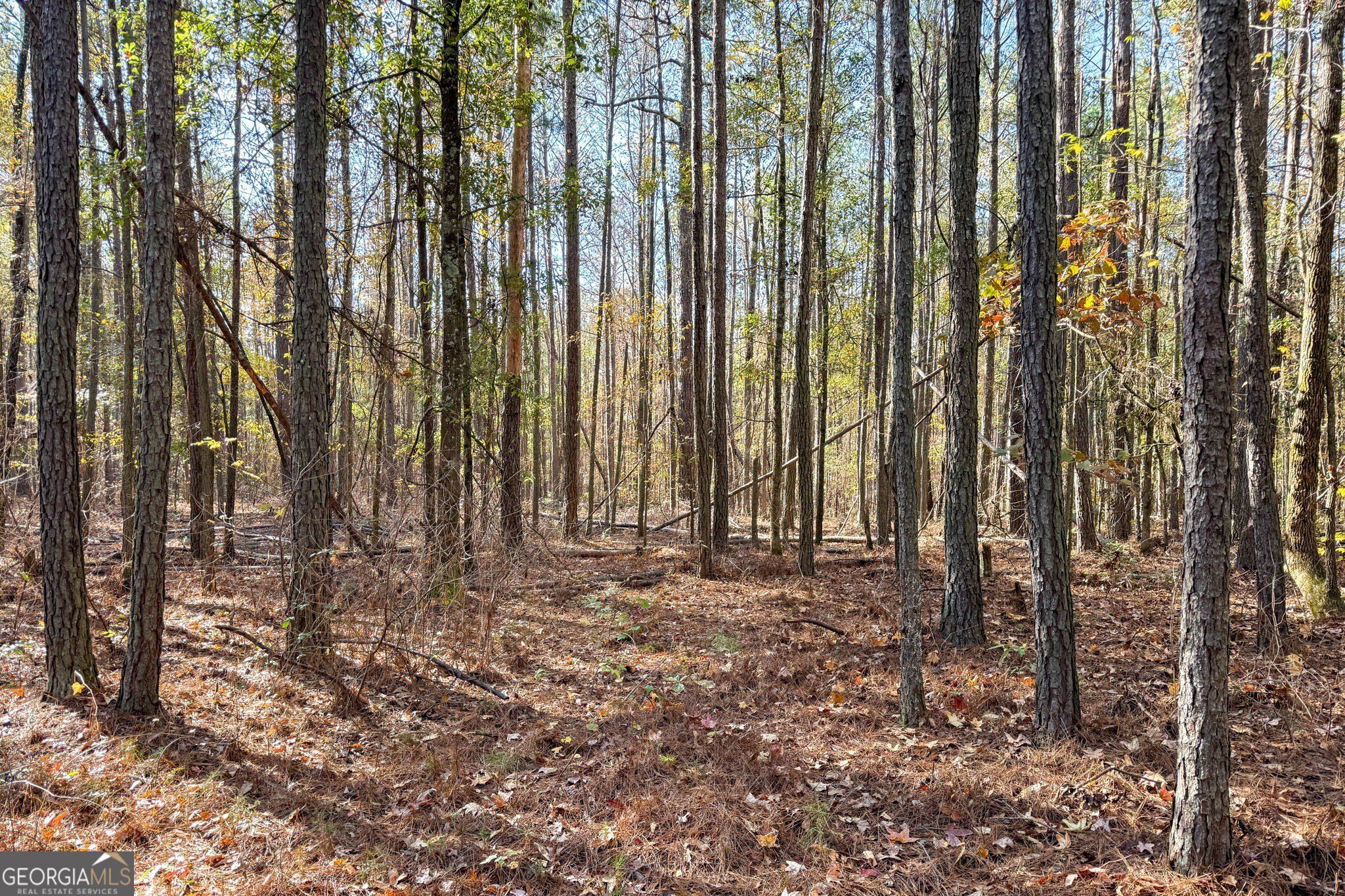 Crawford Road. Barnesville, GA 30204