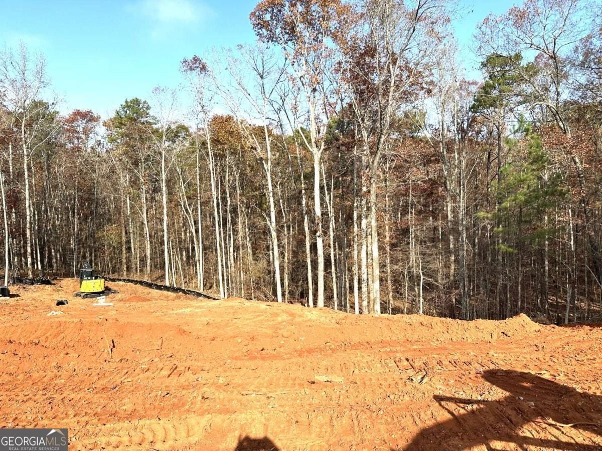 2012 Shoal Creek Way. Bishop, GA 30621