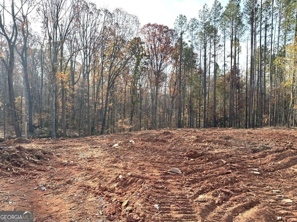 2037 Boulder Ridge Lane. Bishop, GA 30621