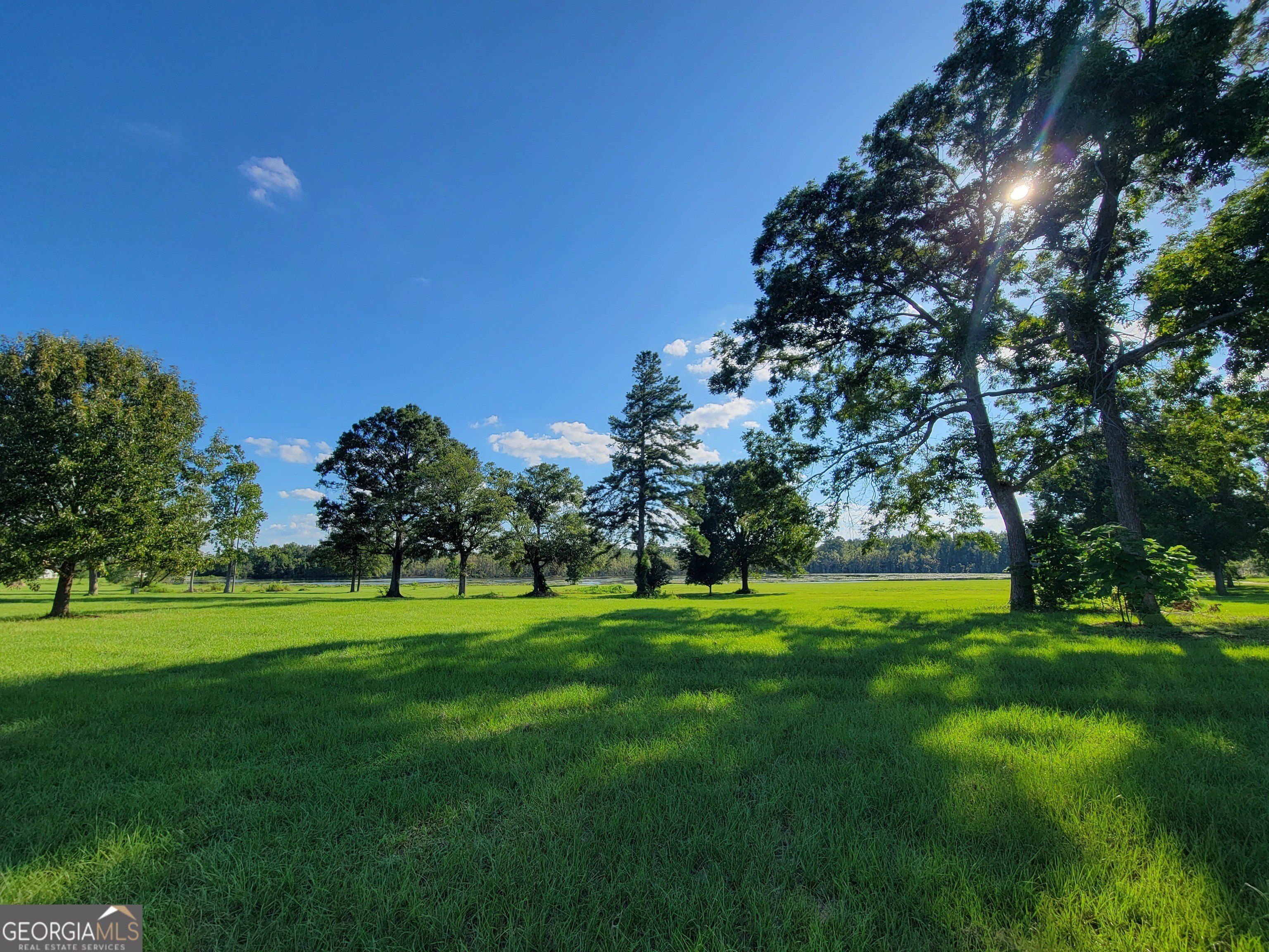 2461 Windemere Drive. Statesboro, GA 30458