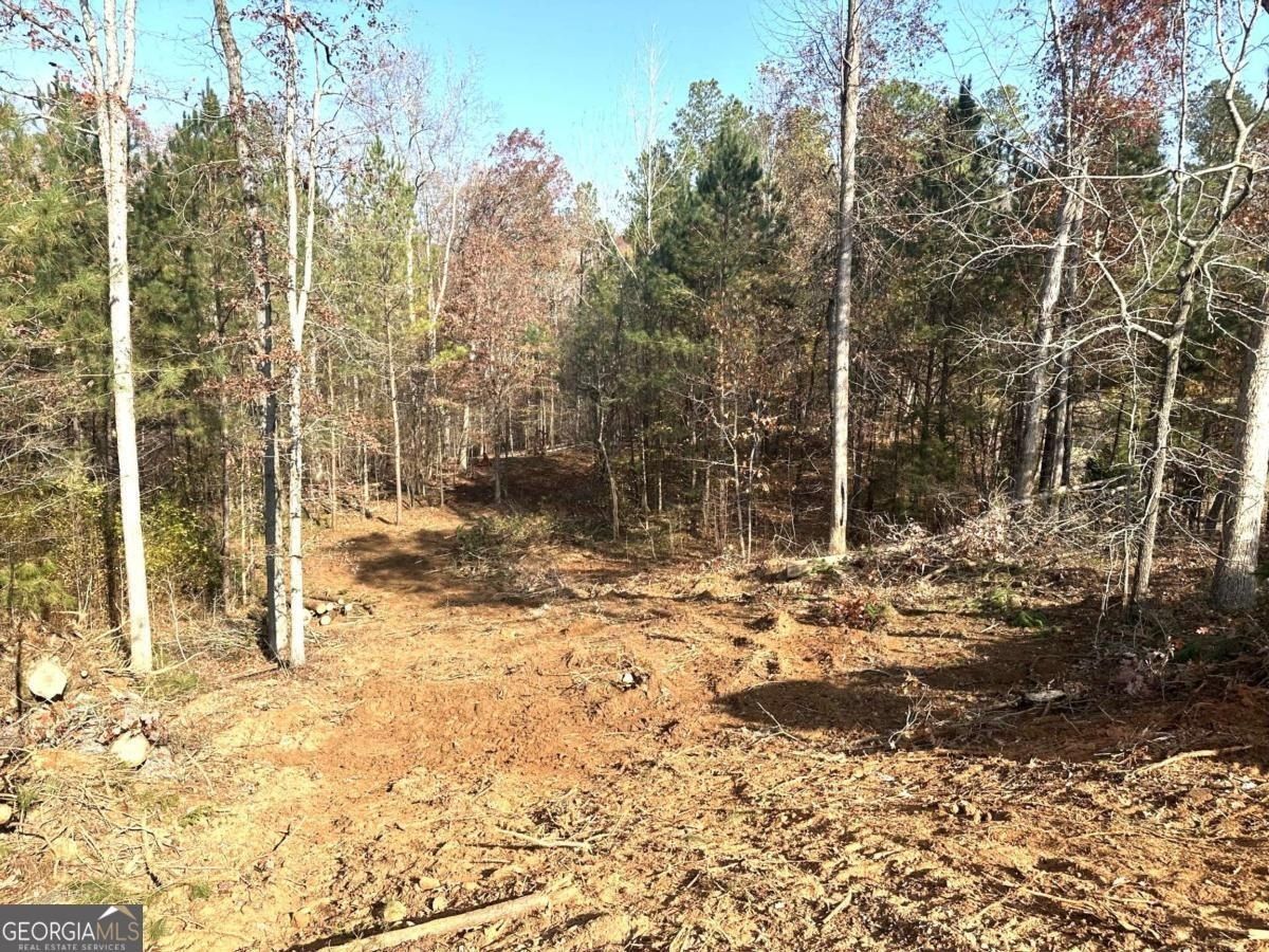 1698 Shoal Creek Way. Bishop, GA 30621