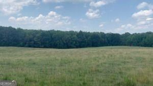 6295 Hawkins Drive. Cumming, GA 30028