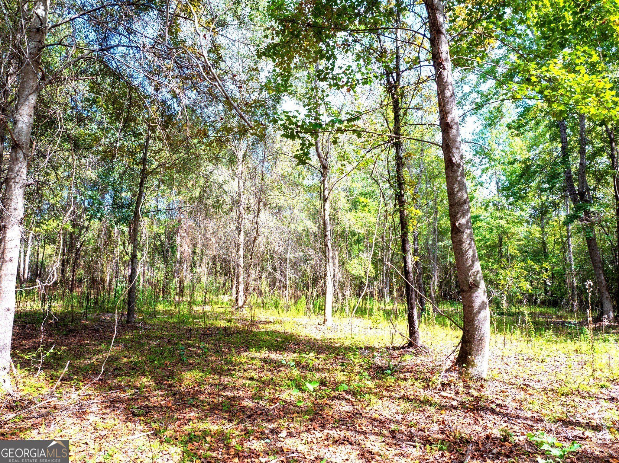 661 Hugh O Neal Road. Greenville, GA 30222