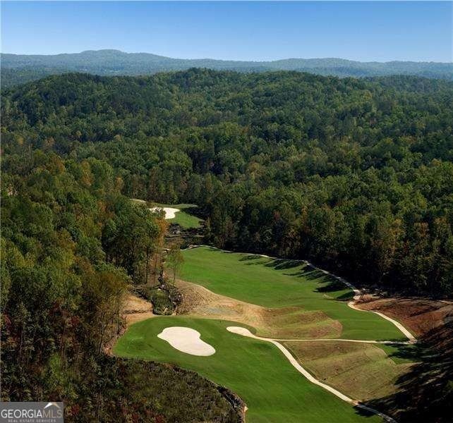 113 Chickasaw Drive. Waleska, GA 30183