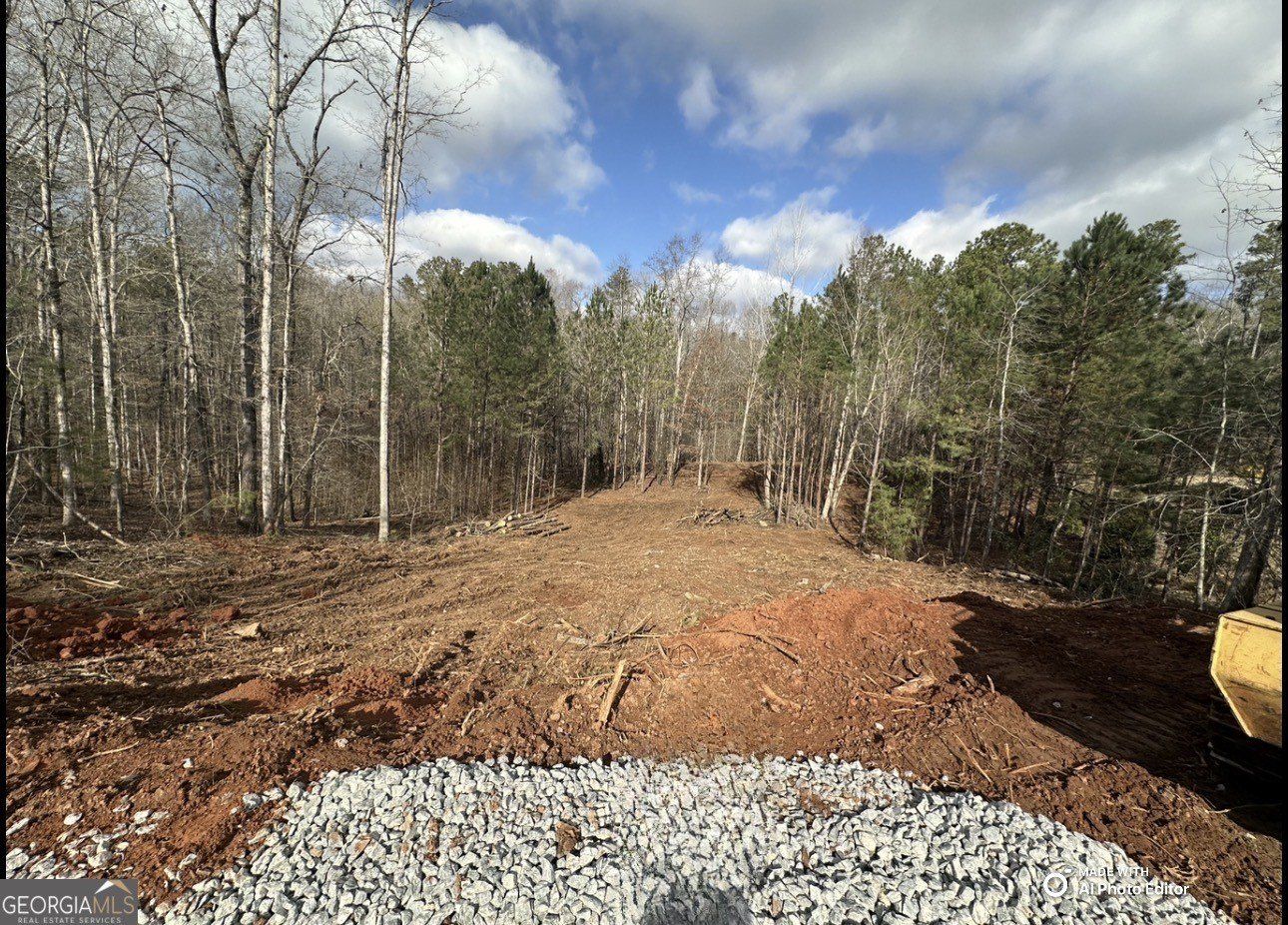 1698 Shoal Creek Way. Bishop, GA 30621