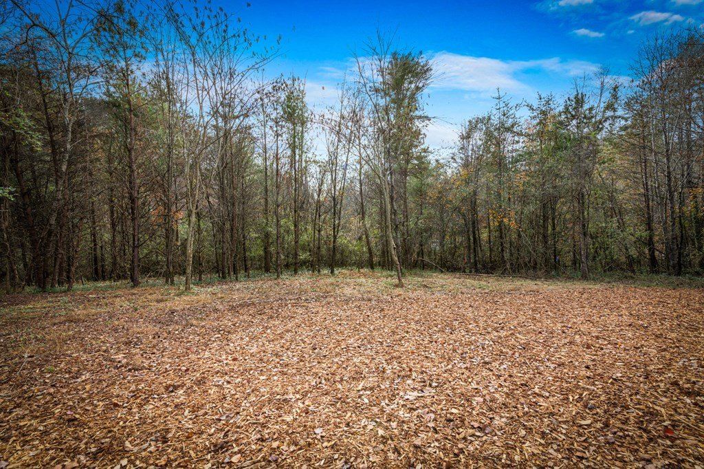 40 Cherry Street. East Ellijay, GA 30539