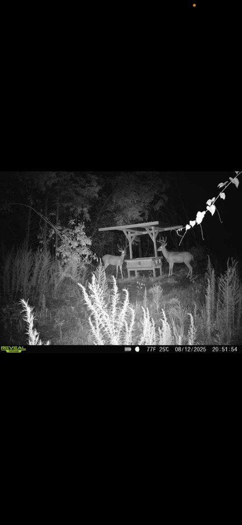 298 Highway 127 E. Rupert, GA 31081