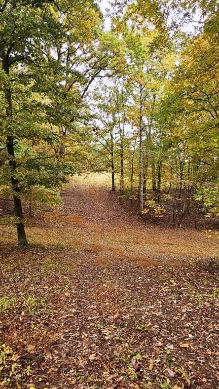 Snote Jones Road Lot 1. Dallas, GA 30132