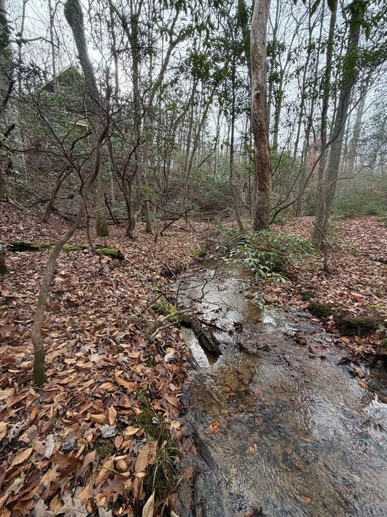 Lot A Magnums Trail. Blue Ridge, GA 30513