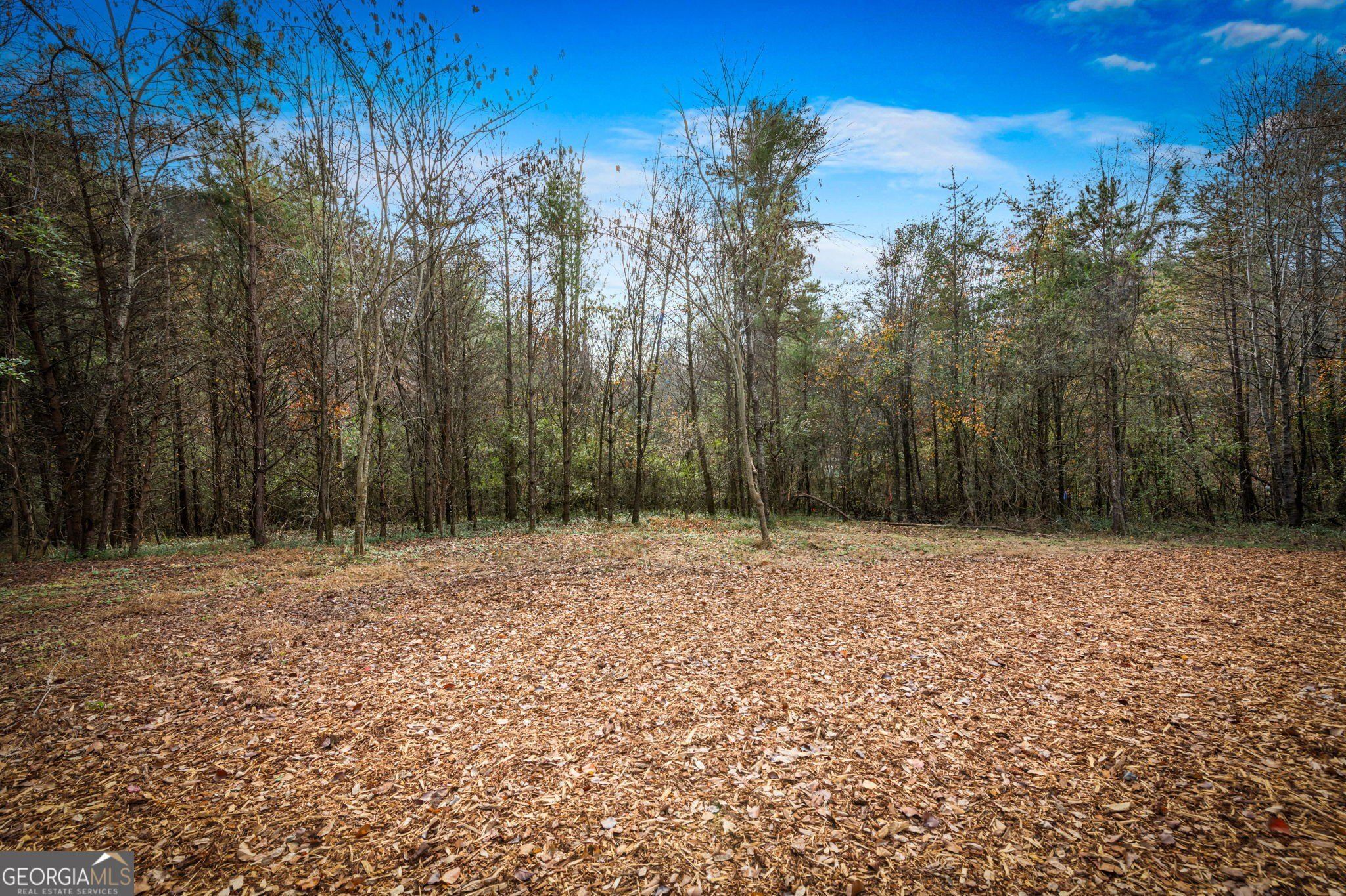 40 Cherry Street. East Ellijay, GA 30539