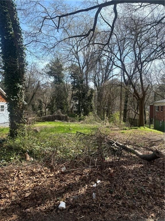 419 Lanier Street Nw. Atlanta, GA 30318