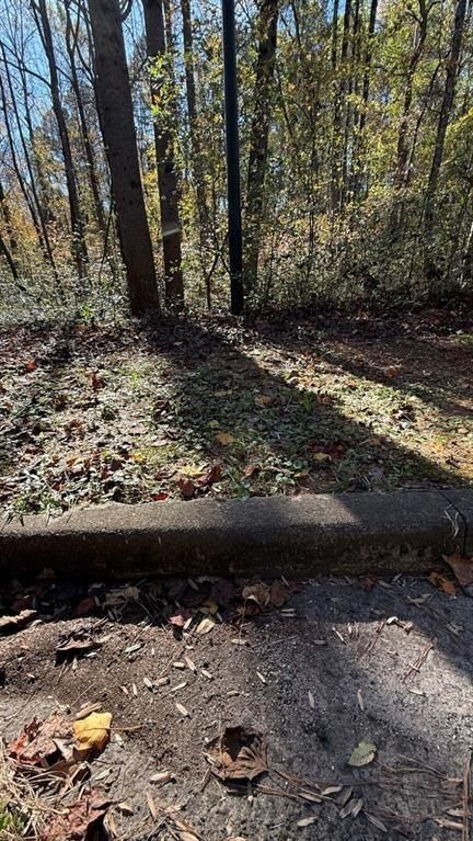 Fairview Springs Drive Lot 15. Sunny Side, GA 30284