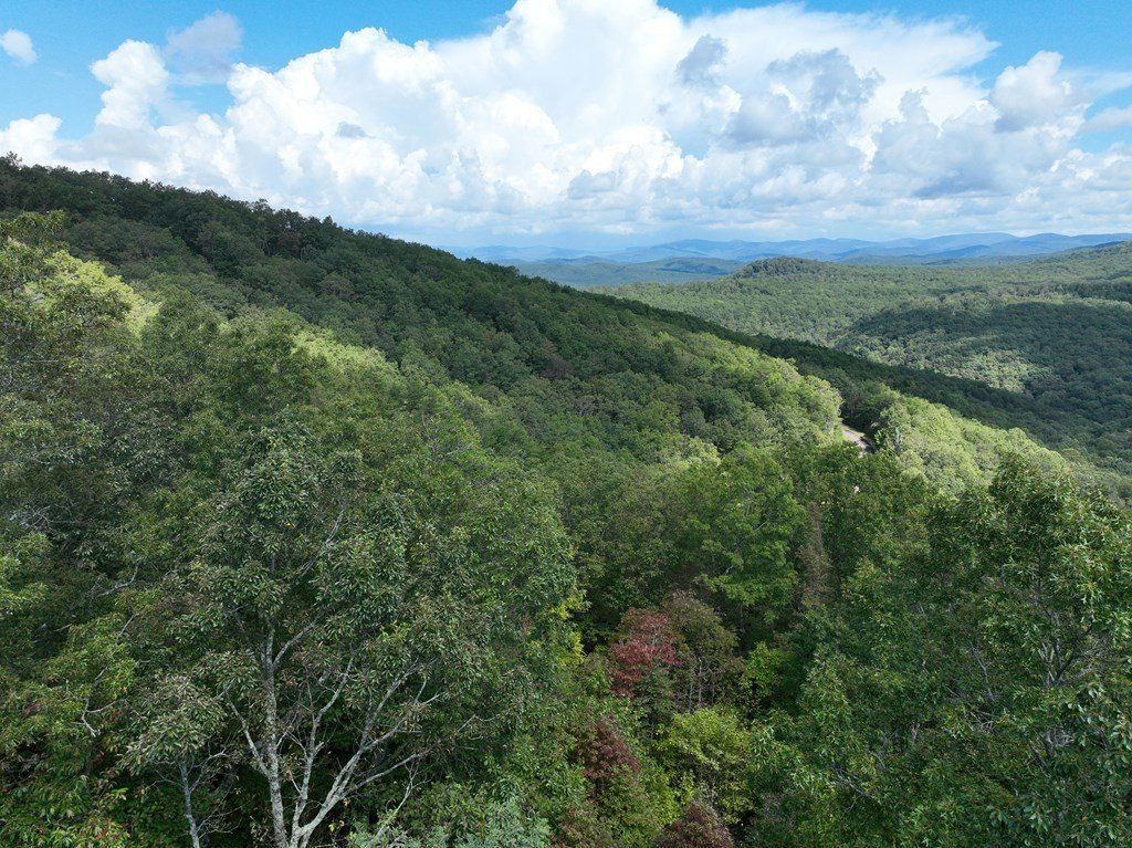 246 Andes Ridge. Ellijay, GA 30536