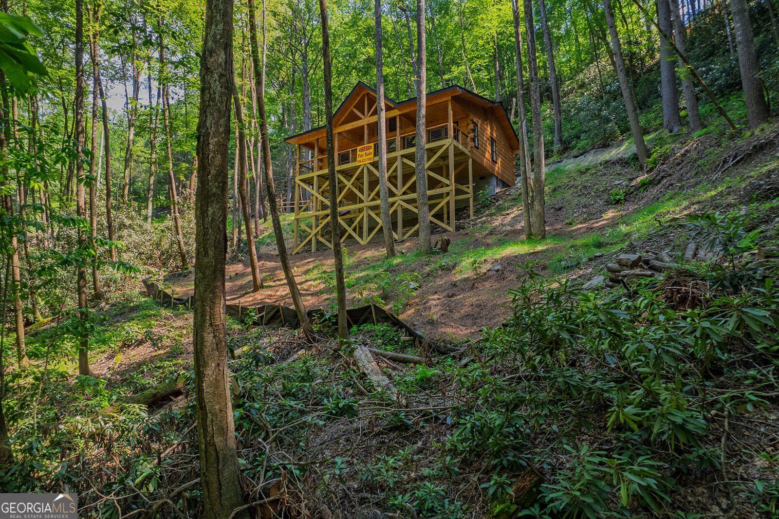 122 Laurel Creek Trail. Cherry Log, GA 30522