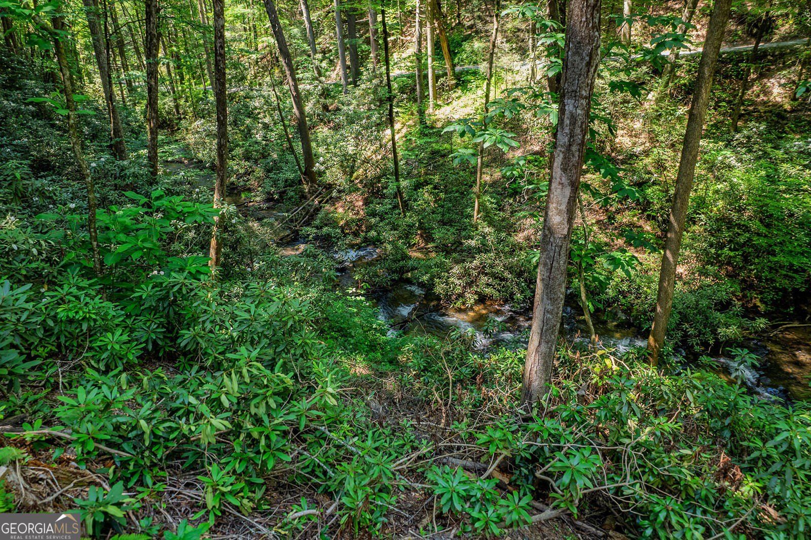 122 Laurel Creek Trail. Cherry Log, GA 30522