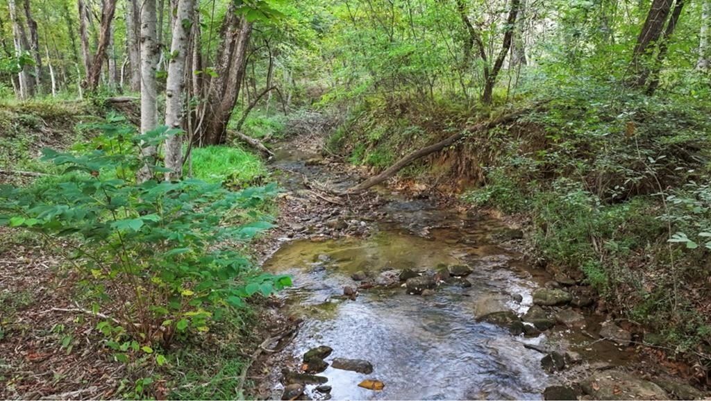 241 East Shalom Court. Blue Ridge, GA 30513