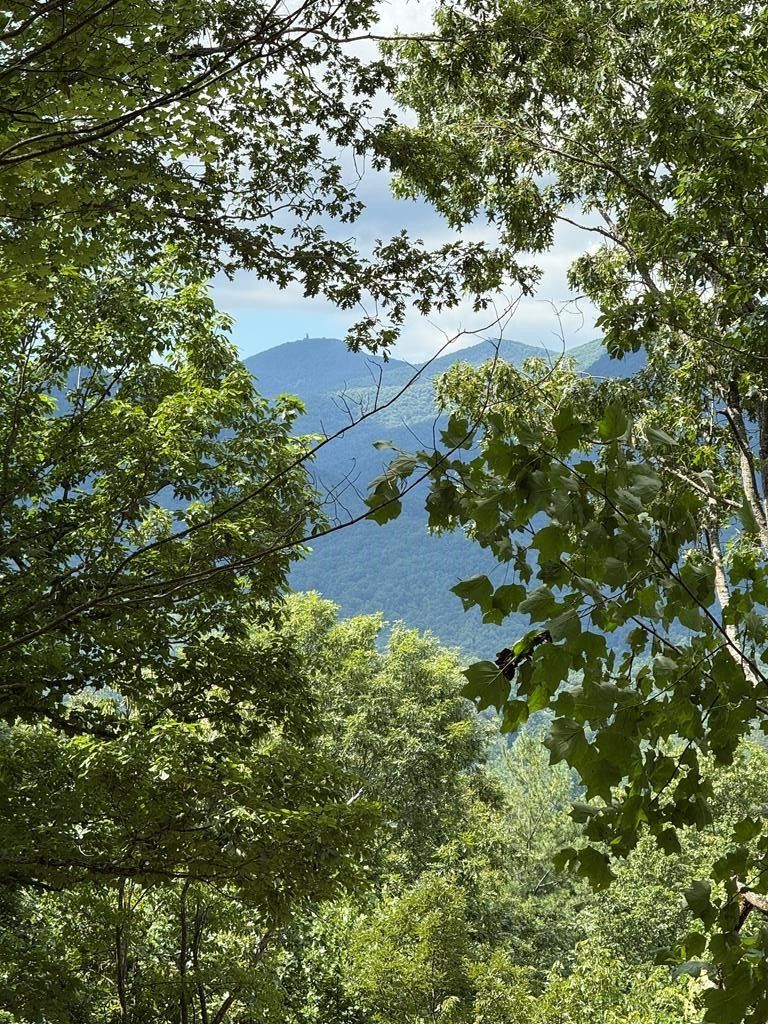 Lot 6 Whiskey Mountain Estates. Hiawassee, GA 30546