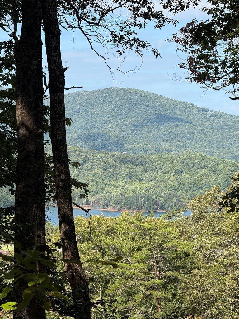 Lot 3 Whiskey Mountain Estates. Hiawassee, GA 30546