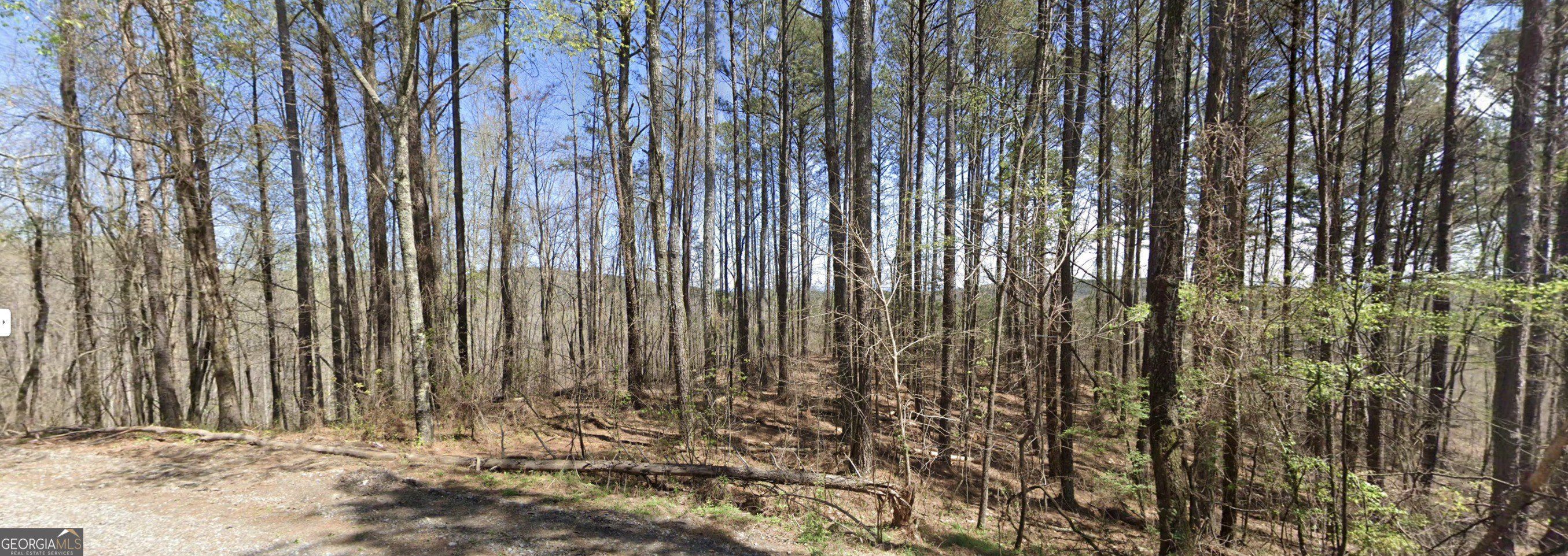 Dry Pond Road. Ranger, GA 30734