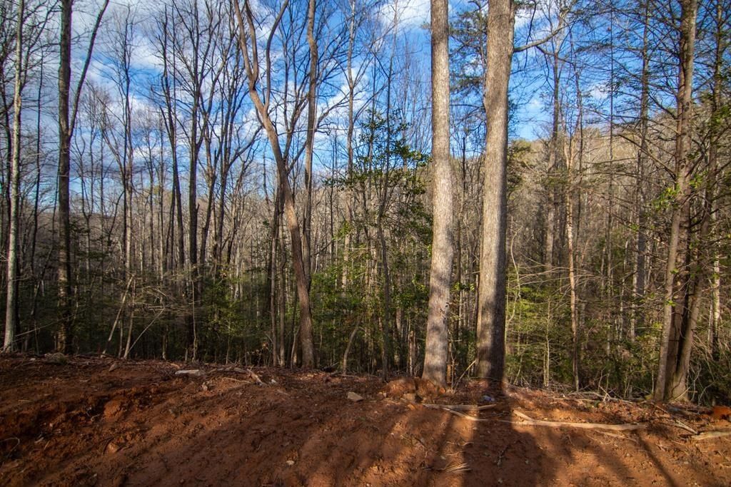 Clays Way Lot 7. Blue Ridge, GA 30513