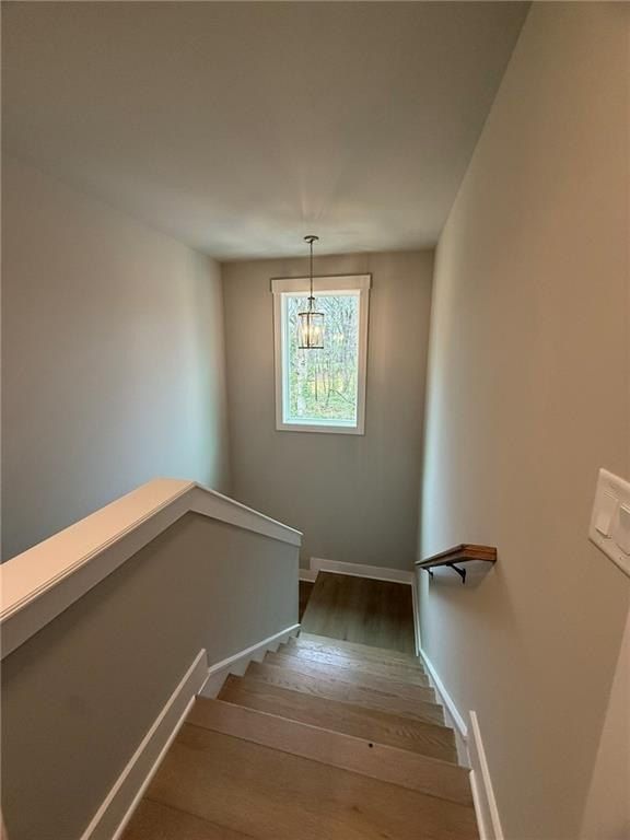 305 Springtime Way. Monroe, GA 30655