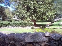 3 Magnolia Boulevard. Cedartown, GA 30125