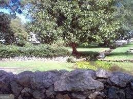 3 Magnolia Street. Cedartown, GA 30125