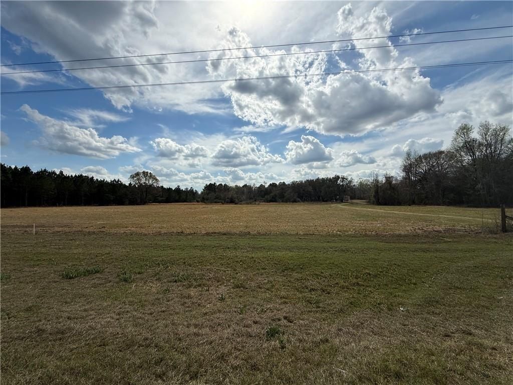 997 Ne Darwell Long Road. Ludowici, GA 31316