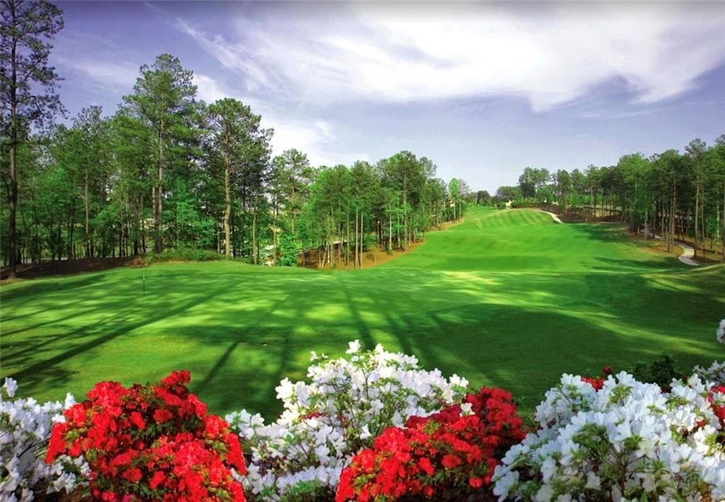 116 Cuthbert Lane. Acworth, GA 30101