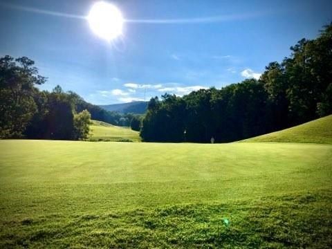 153 Fort Gibson Court. Waleska, GA 30183