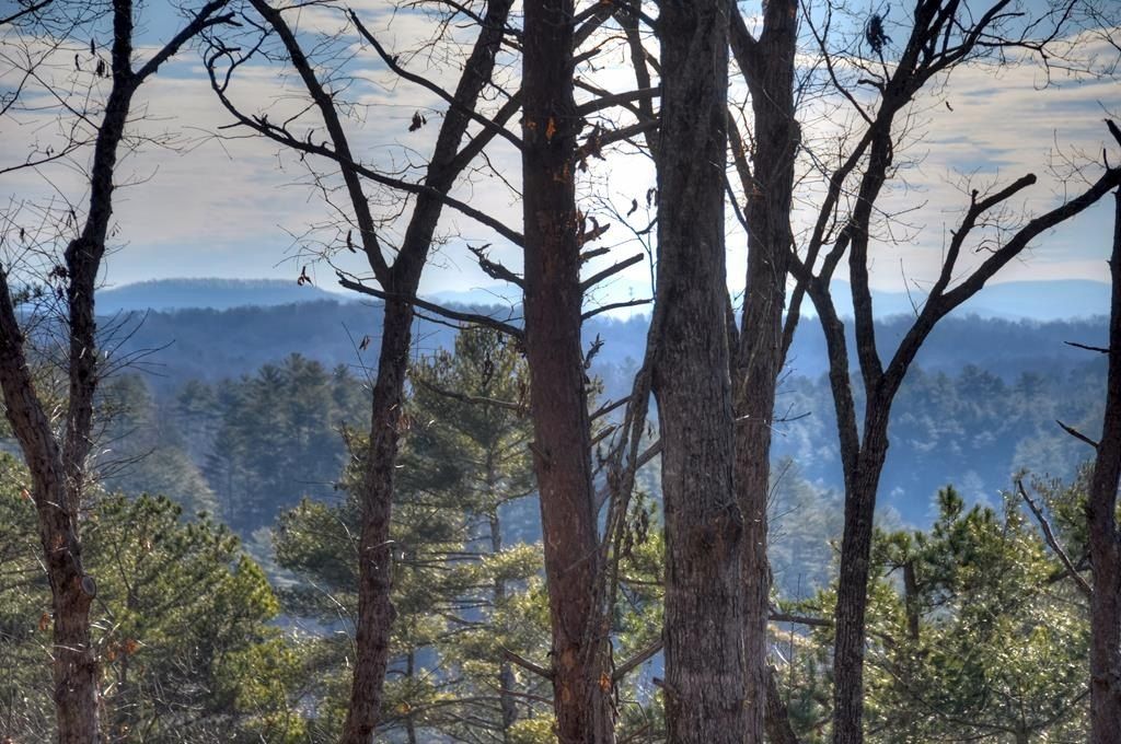 142 Red Oak Trail. Ellijay, GA 30540