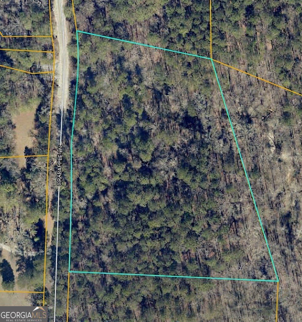 178 Crabapple Lane. Tyrone, GA 30290