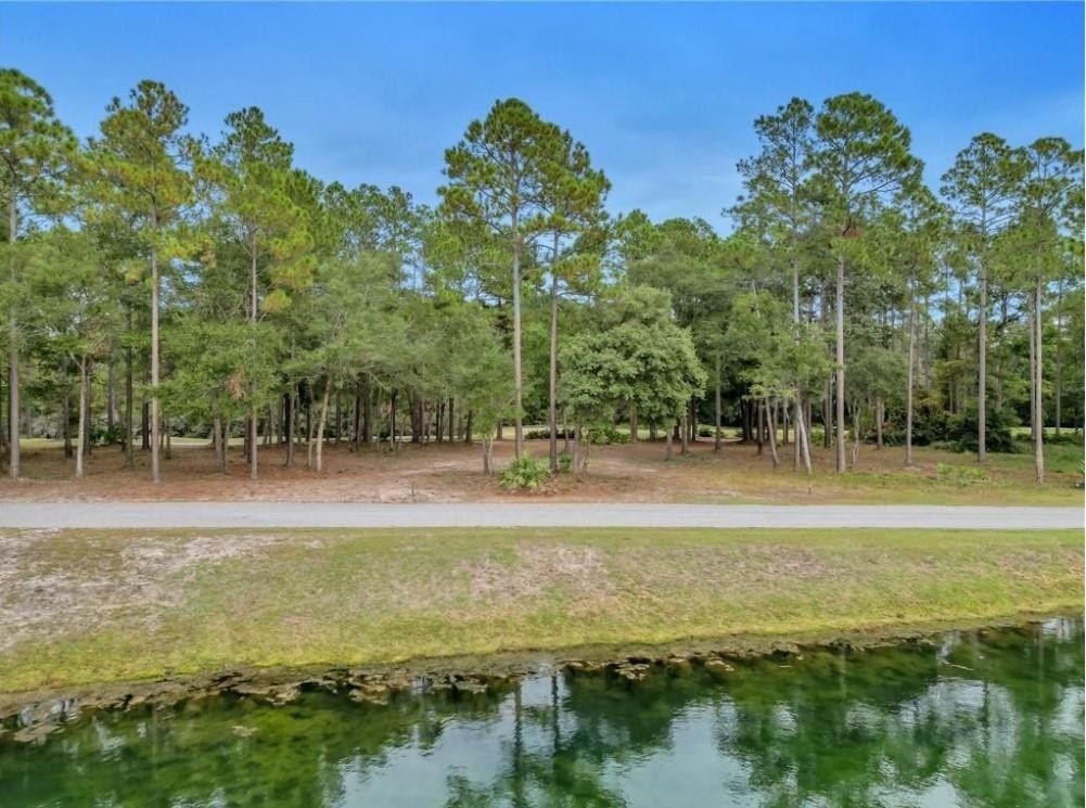 1499 Sapelo Park Drive Ne. Townsend, GA 31331