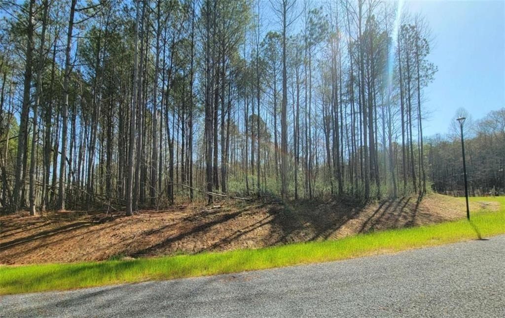 68 Mountaingate Way. Ellijay, GA 30536