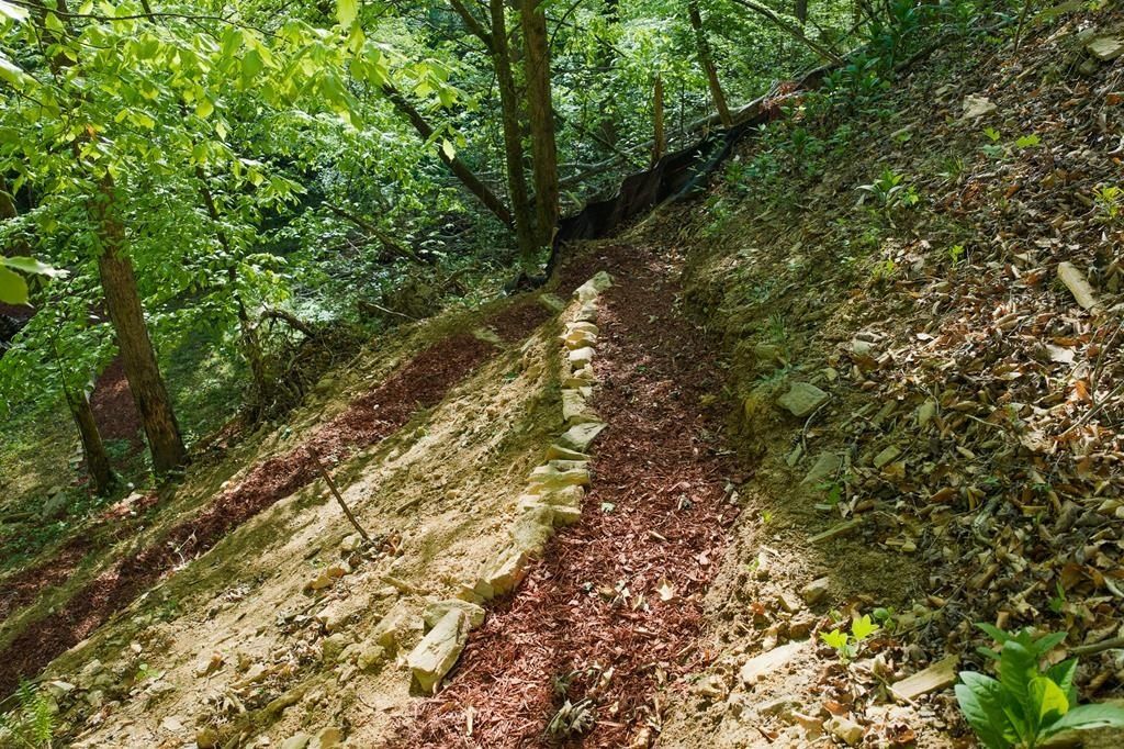 138 Rhondas Way. Ellijay, GA 30540