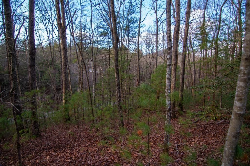 Lot 1 Rock Creek. Cherry Log, GA 30522