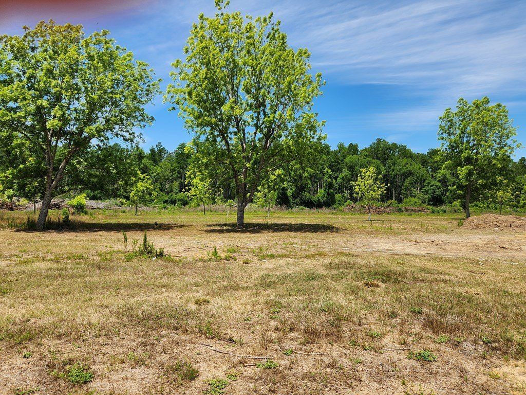 1100 Highway 221. Naylor, GA 31641