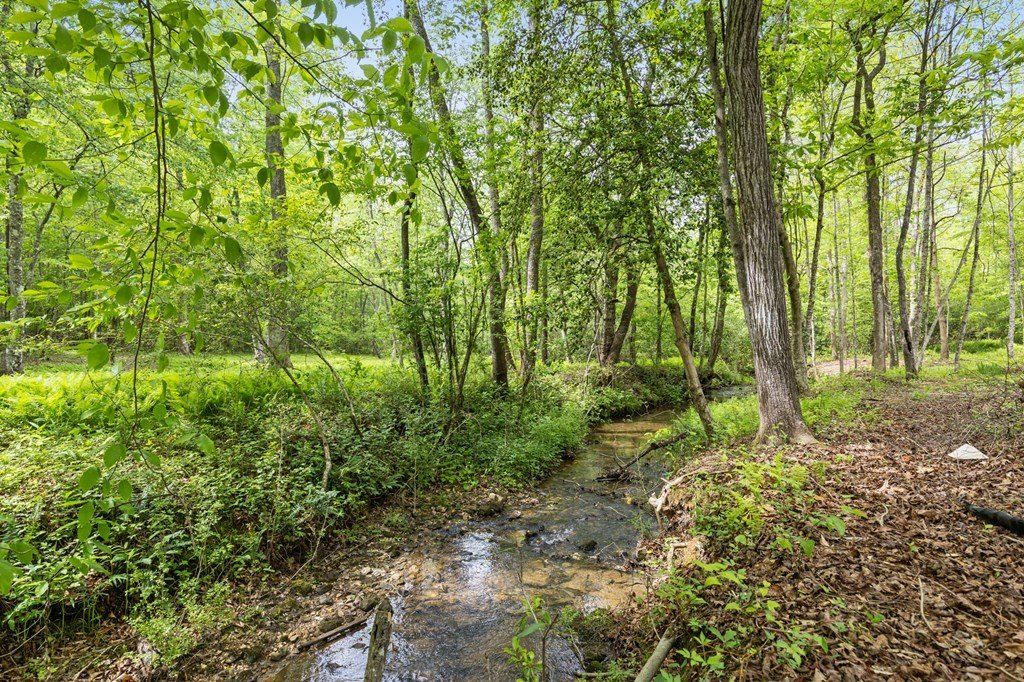 148 Brookwood Drive. Blue Ridge, GA 30513