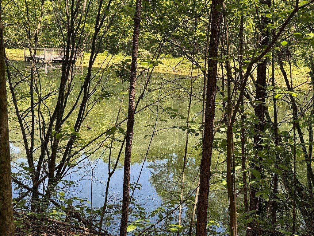 85 Moreland Trail. Blue Ridge, GA 30513