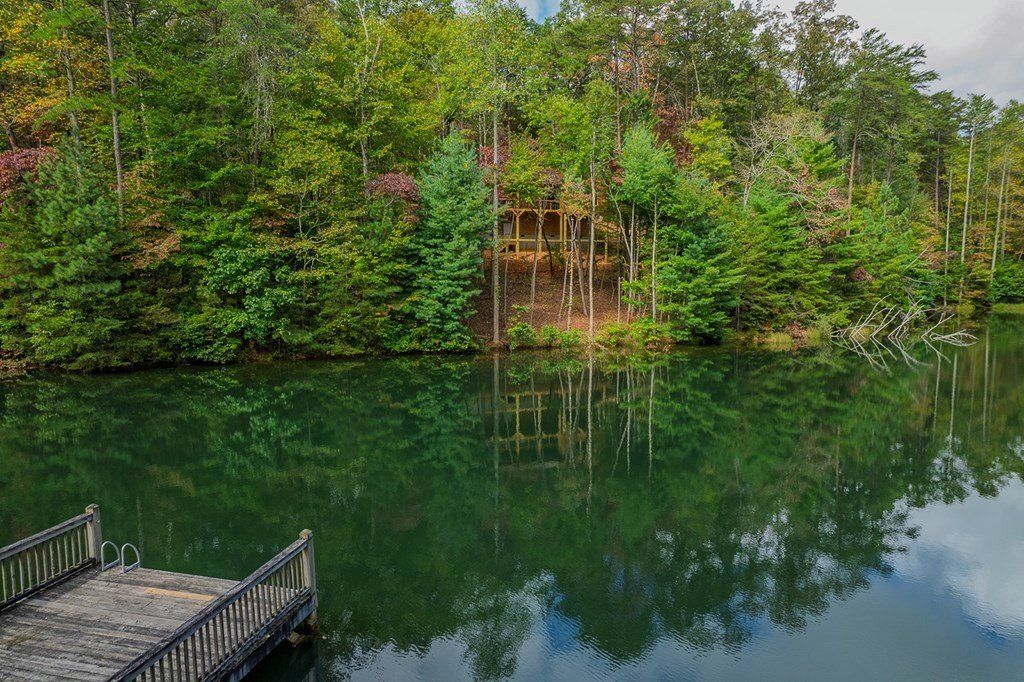 85 Moreland Trail. Blue Ridge, GA 30513