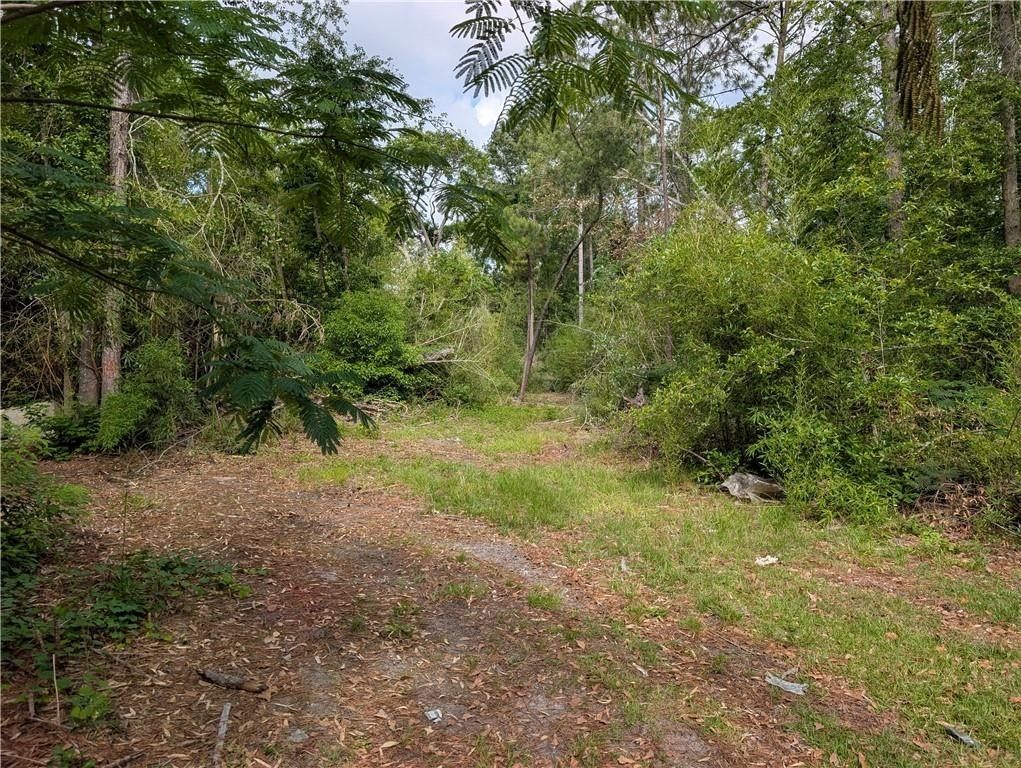 Langdale Drive. Nashville, GA 31639